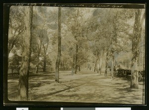 View of the Esplanade in Chico, ca.1910