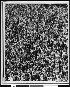 Birdseye view of a large crowd