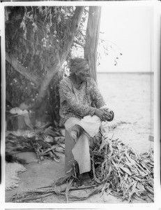 Old Navajo man on the Painted Desert, Arizona, ca.1901