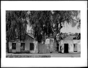 Adobe under pepper trees in Sonora Town, ca.1887-1888