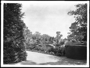 Hotel Del Monte grounds, Monterey, ca.1900-1901