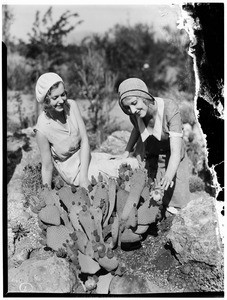 Two women next to a prickly pear cactus in the Natural History Museum