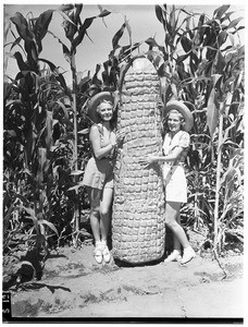 Two young women standing next to a giant ear of corn, Pomona County Fair, 1936