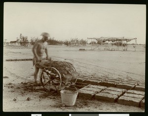 Worker making adobe brick in Imperial Valley, ca.1910