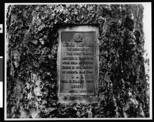 Plaque cemented into the trunk of a tree identifying the tree as the site of California's first Easter services, ca.1938