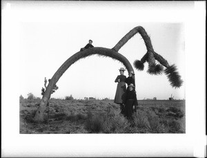 Three women and a boy with an arched Yucca in the Mojave Desert, Antelope Valley, California, ca.1880-1940