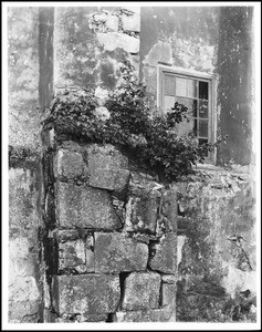 Old window and buttress of San Carlos Mission in Carmel, ca.1903