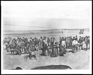 First day of work on Pacific Electric Railway's Del Rey and Redondo Trolley Line, ca.1900