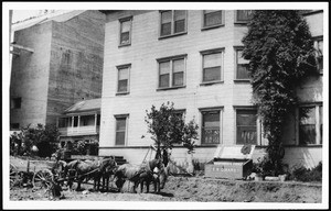 Horses and wagon near apartment building on Sixth Street and Grand Ave, 1916