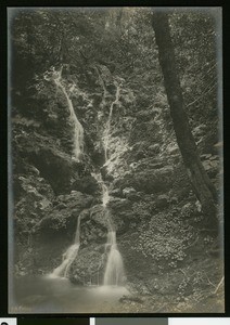 Mount Tamalpais' Lower Falls in Cataract Gulch, ca.1910