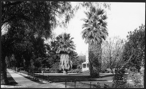 Manicured yards and palm trees lining Figueroa Street, looking south from or towards 23rd Street, Los Angeles, ca.1880-1889