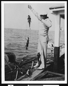 A man on a boat holding up his stringer with a caught fish, ca.1930