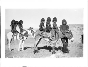 Hopi children riding burros, Arizona, ca.1900