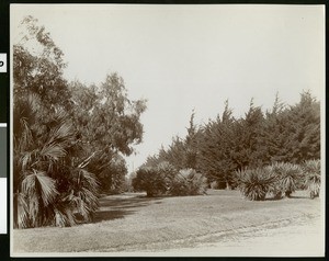View of the grounds of the Redondo Hotel in Redondo Beach, ca.1905