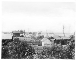 Drum Bararcks Wilmington Encampment (U.S. Army Headquarters), showing tents, Los Angeles, ca.1865