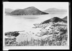 Several ships in a harbor near a densely-populated village, showing a small island with a bridge at left, Alaska, 1935