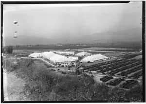 Aerial view of the Los Angeles County Fairgrounds in Pomona, September 4, 1927