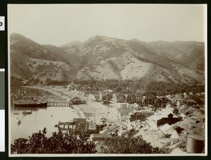 Tuna Club under construction on the shore of Avalon Harbor, 1908