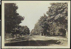 View of a horse-drawn cart on Eleventh Street in Eugene, Oregon