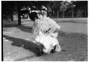 Woman in an ostrich-feather stole at an ostrich farm at Lincoln Park