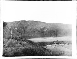 The cross on a hill overlooking the ranch at Camulos, 1904