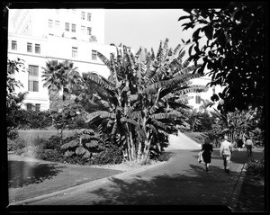 Pedestrians walking through a park near the south side of an unidentified city hall building