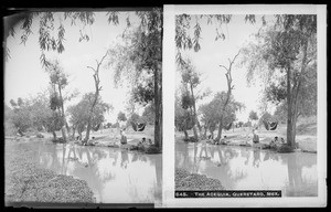 Women washing clothes in the acequia of Queretaro, Mexico, ca.1905-1910