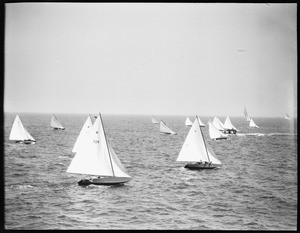 Group of sailboats racing down the water