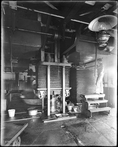 Workers and an olive oil press, San Fernando, Los Angeles, ca.1900