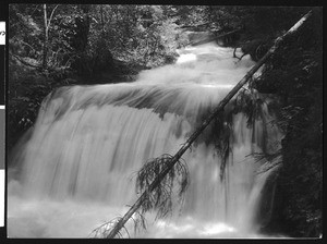 Ashland Creek Falls in Ashland, Oregon