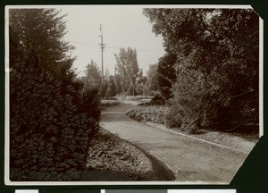 Riverside road, ca.1900