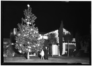 Outdoor Christmas tree at home of Harry Harper, December 26, 1930