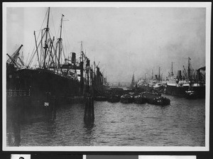 Several steamships at a wharf, ca.1920