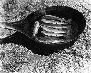 Fish frying in a pan, California, ca.1910