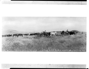 Wagons and horses in a Little Missouri counrty roundup departing for the day, Montana, ca.1900