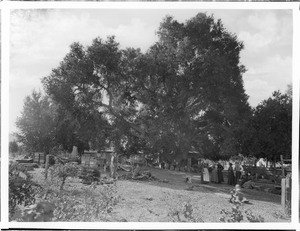 Fruit pickers' camp