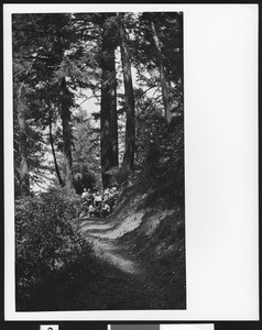 Group posing on a mountain trail, ca.1930