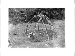 Frame construction of a Havasupai Indian sweat house, ca.1900