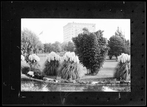 Lafayette Park in front of the Bryson Apartment building in Los Angeles