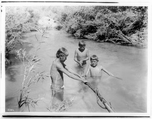 Three Havasupai Indian boys bathing in the Havasu River, ca.1900