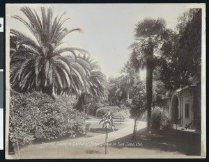 Tropical scene in the Garden of Notre Dame in San Jose, California, ca.1900