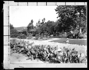 Exterior front view of Casa Verdugo, an adobe house in Glendale, ca.1905