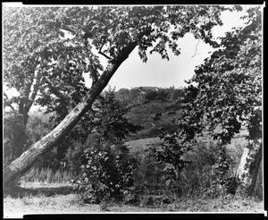 Exterior view of Capo T. Monte(?), showing a house in the distance