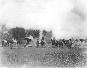 Portrait of an outfit of cowboys at their camp, with range horses, 1898