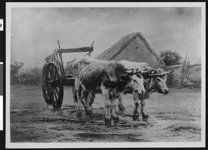 Painting depicting a Team of Oxen, by Rosa Bonheur, ca.1900