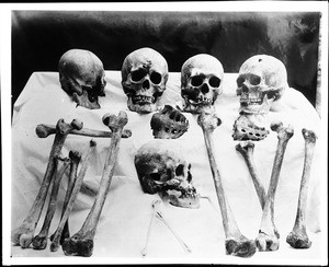 The bones of cliff dwellers, ca.1900