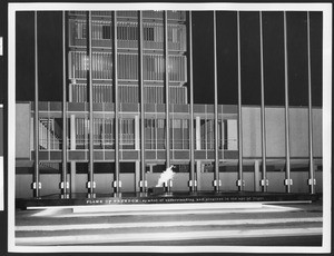 "Flame of freedom" at the Los Angeles International Airport, November 1961