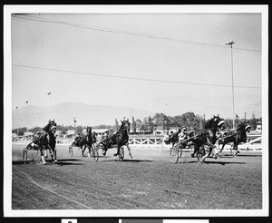 Chariot racing at Santa Anita Racetrack, ca.1950