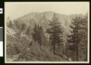 View from the trail to summit of mount San Gorgonio in Riverside, 1900-1915