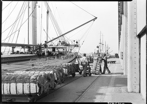 Workers unloading cotton into a warehouse at Los Angeles Harbor